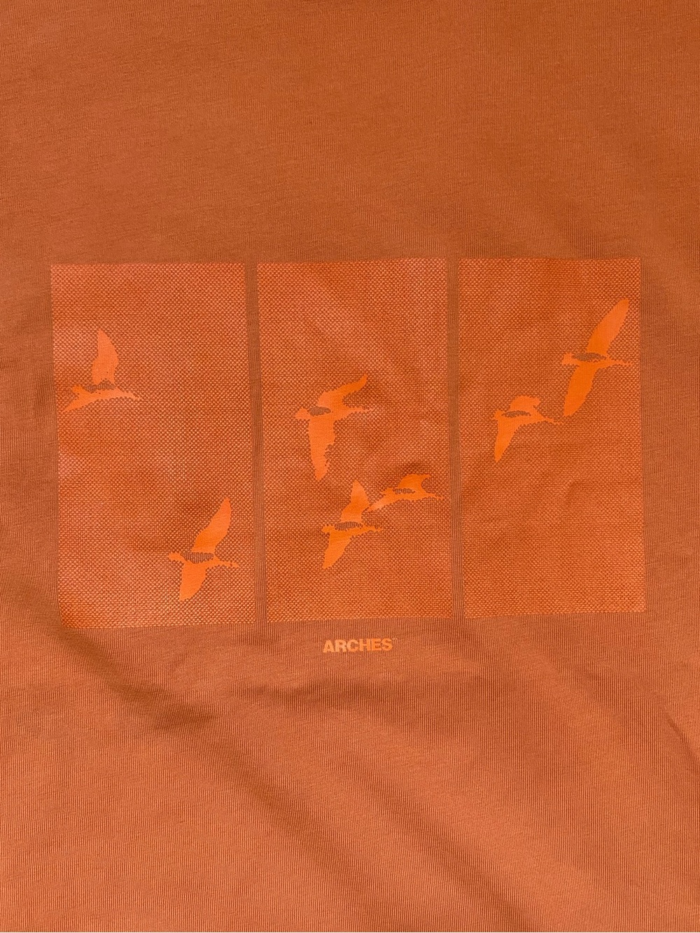 Men’s Graphic Tee with Birds by Arches Surf Skate Brand Orange Size L NWOT